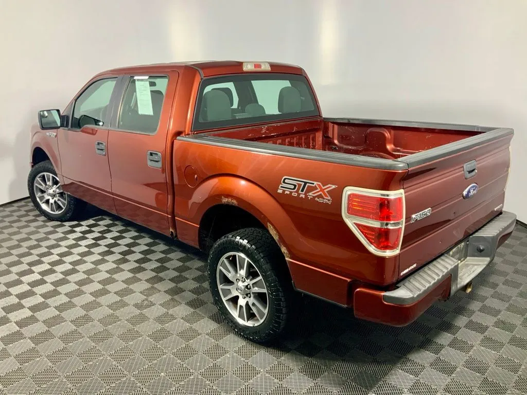 Ford F-150 photo 10