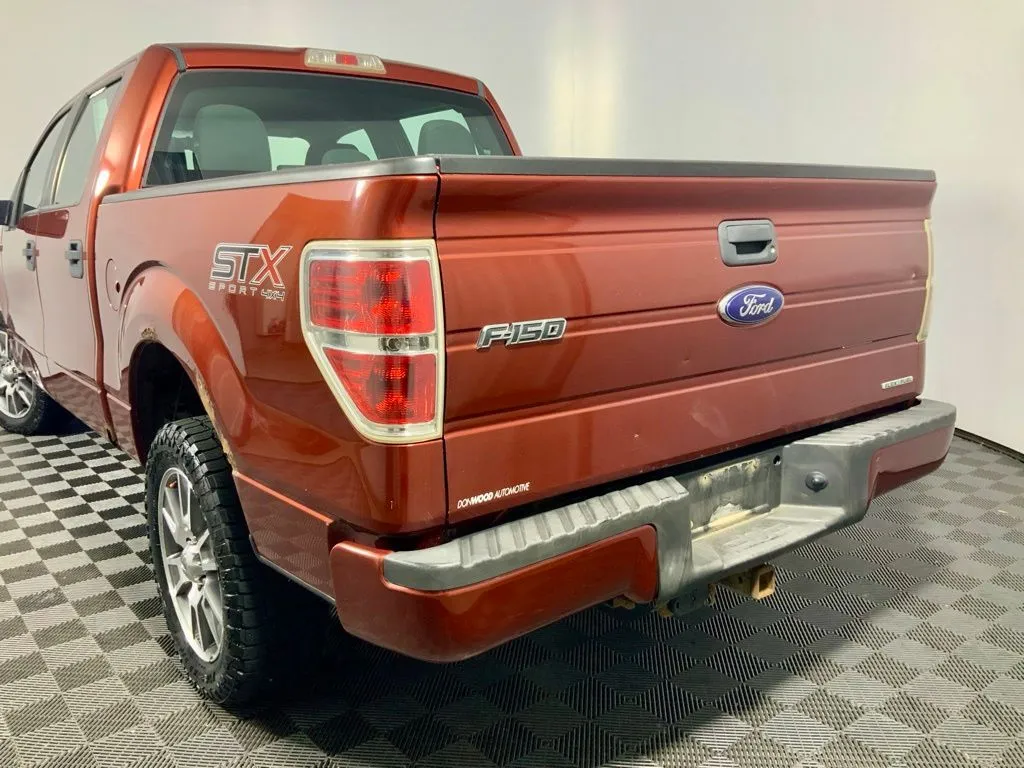 Ford F-150 photo 11