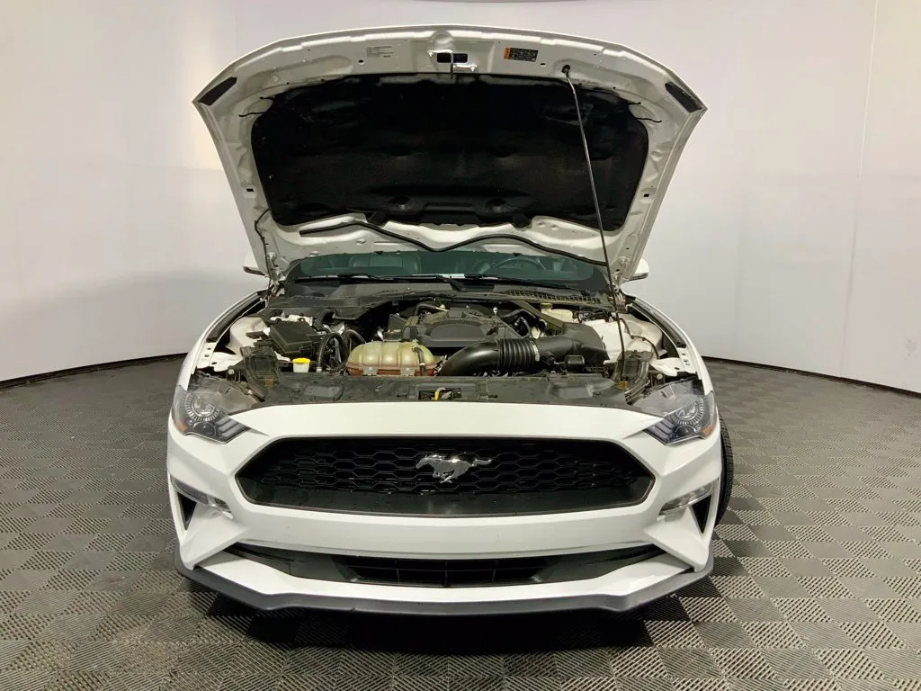 Ford Mustang photo 5