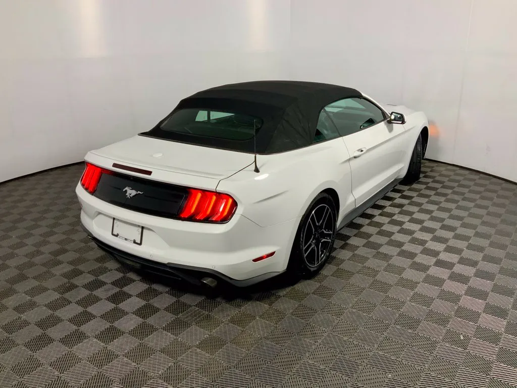 Ford Mustang photo 16
