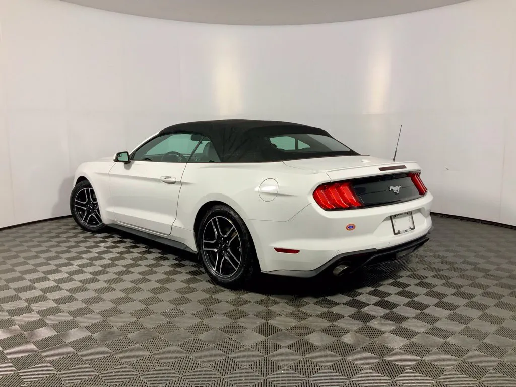 Ford Mustang photo 11