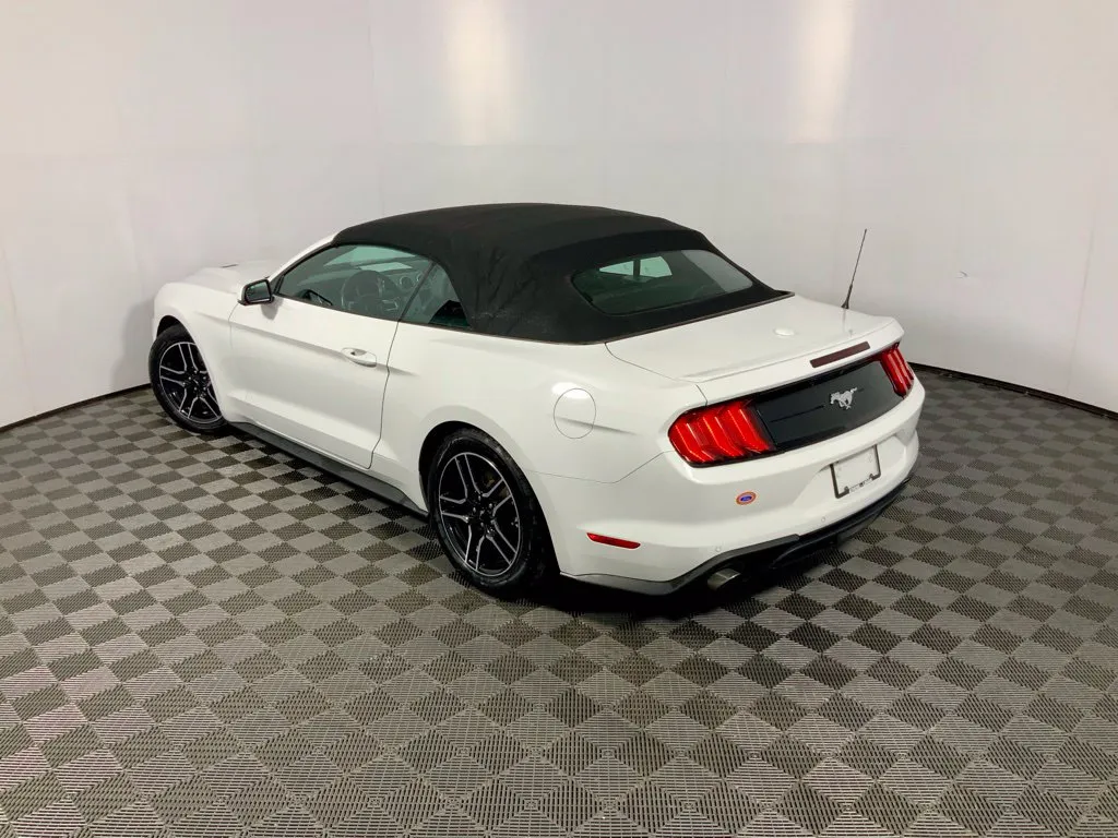 Ford Mustang photo 12