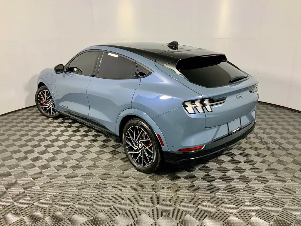 Ford Mustang Mach-E photo 14