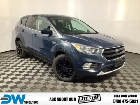 Green 2019 Ford Escape SE for sale in Athens, OH