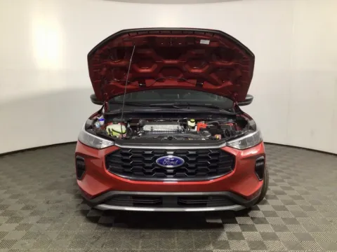 More photos of 2025 Ford Escape ST-Line at Don Wood Ford Lincoln, OH