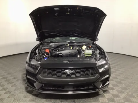 More photos of 2025 Ford Mustang EcoBoost at Don Wood Ford Lincoln, OH