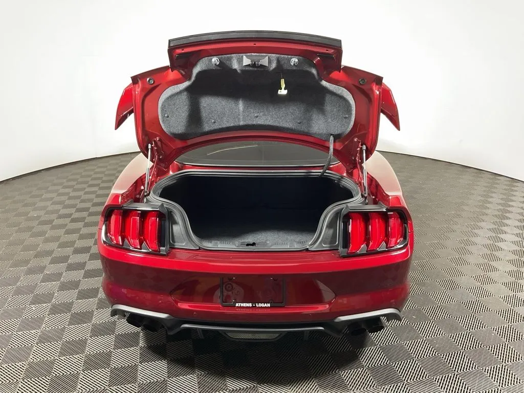 Ford Mustang photo 13