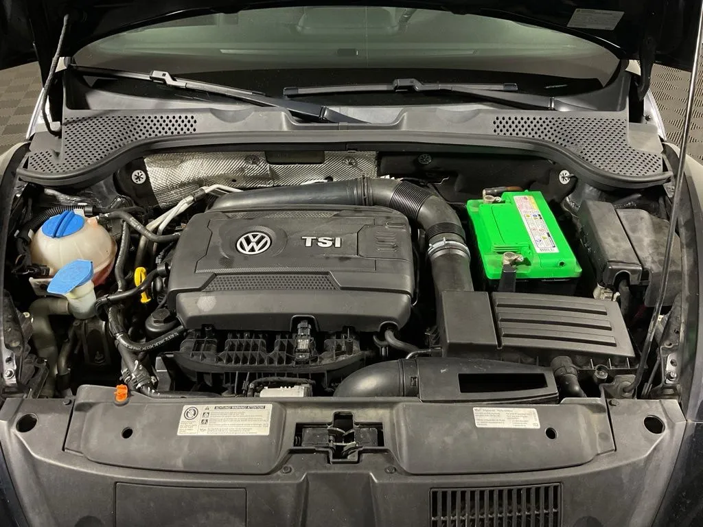 Volkswagen Beetle photo 36