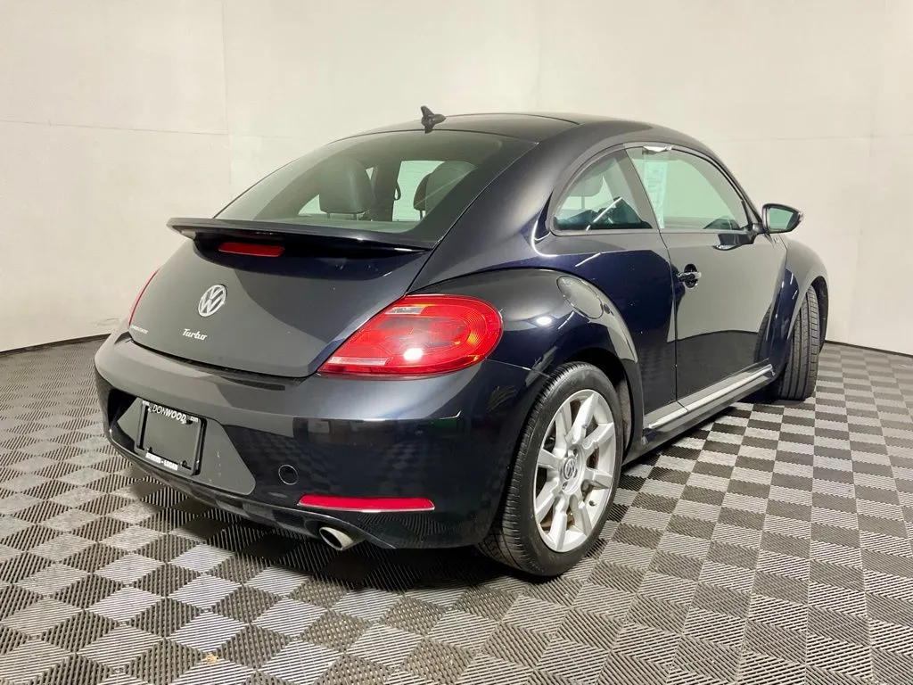 Volkswagen Beetle photo 15