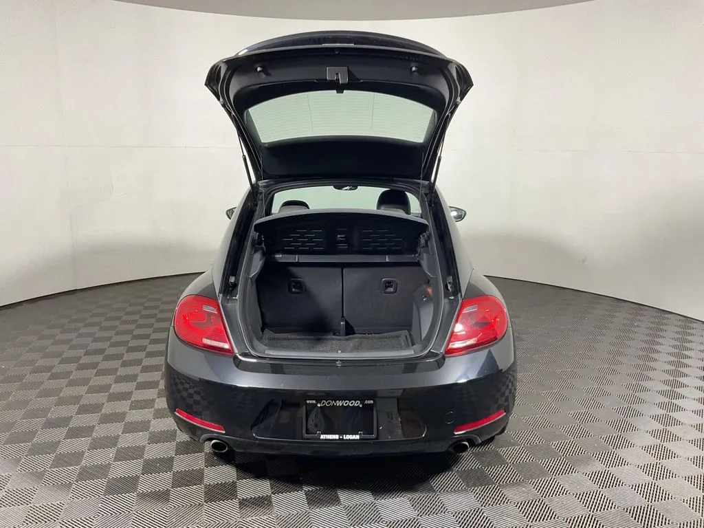 Volkswagen Beetle photo 13