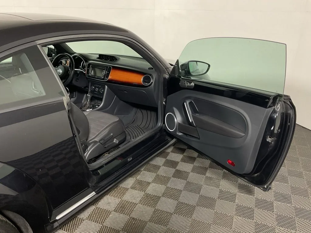 Volkswagen Beetle photo 30