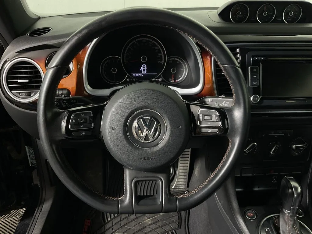 Volkswagen Beetle photo 23