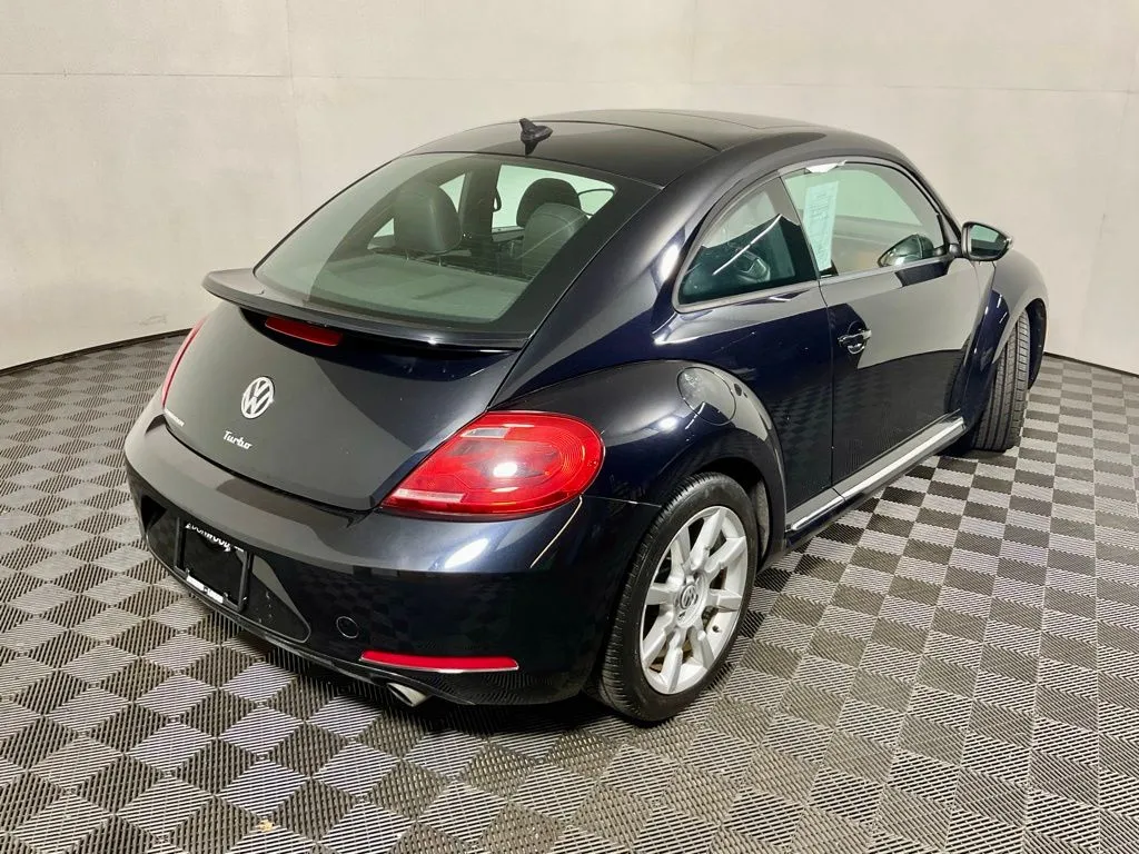 Volkswagen Beetle photo 16