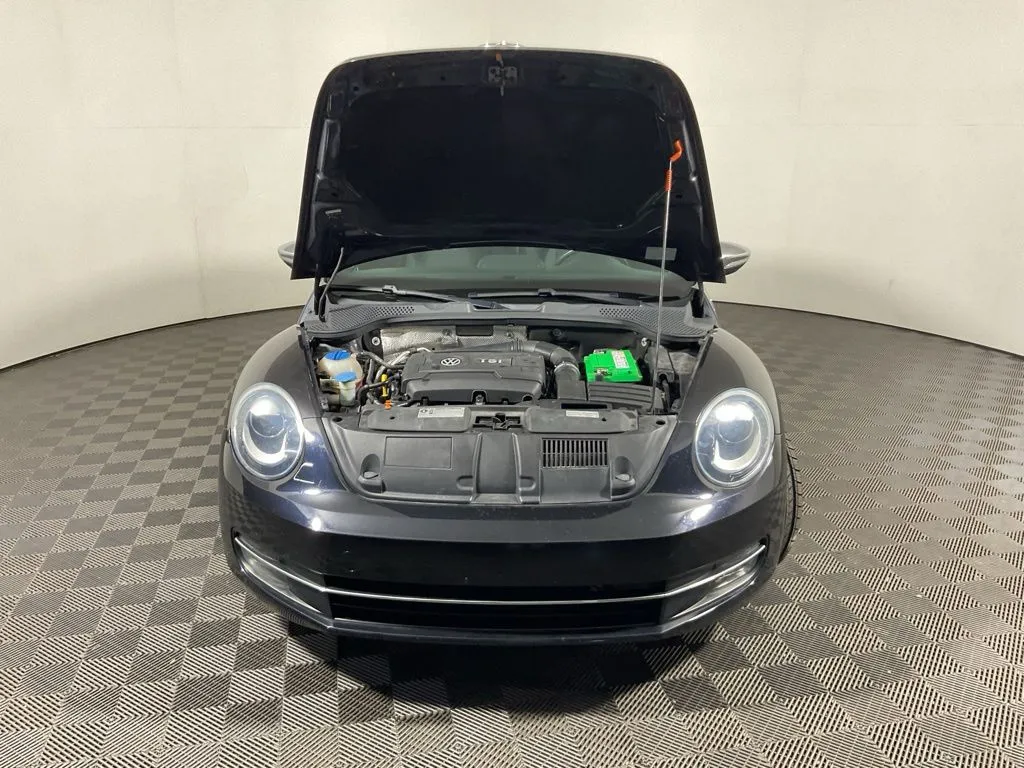 Volkswagen Beetle photo 8