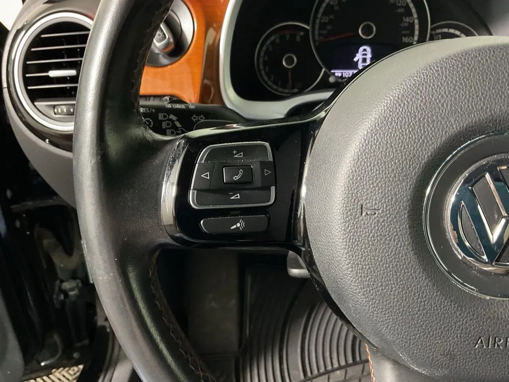 Volkswagen Beetle photo 25