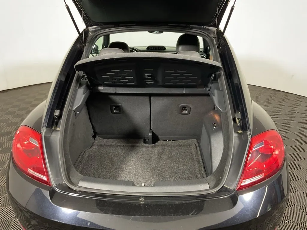 Volkswagen Beetle photo 14