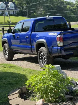 Blue 2022 Toyota Tacoma TRD Off-Road for sale in Athens, OH