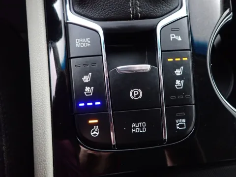 More photos of 2021 Kia Sedona SX at Don Wood Chrysler Dodge Jeep Ram, OH