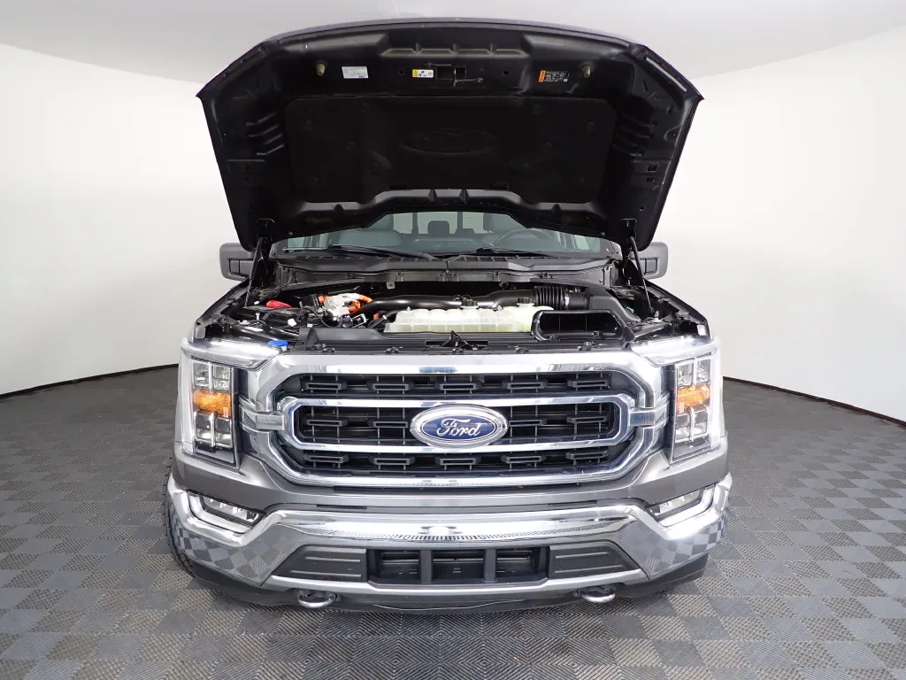 Ford F-150 photo 38