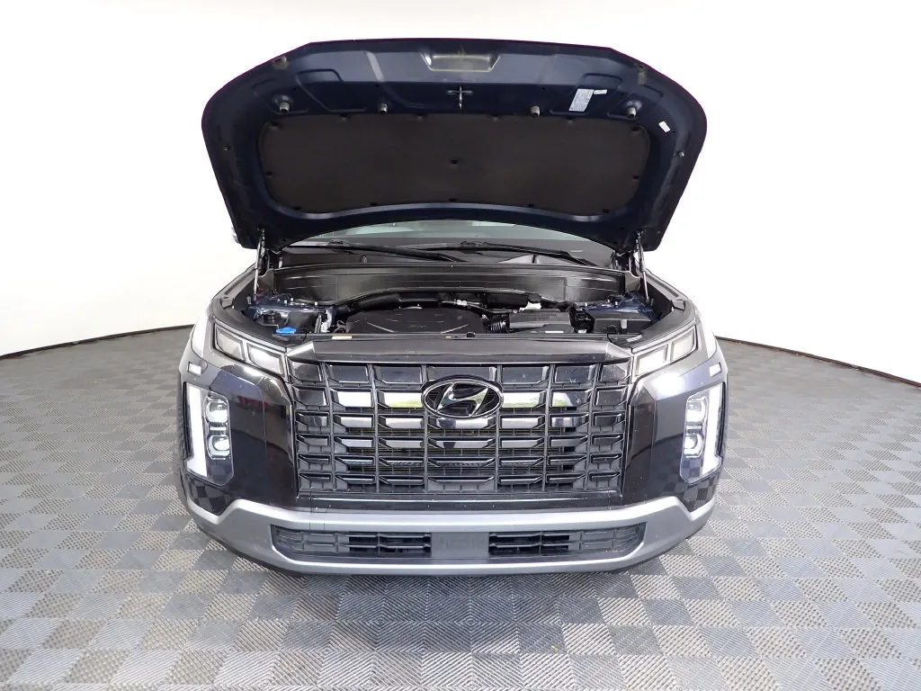 Hyundai Palisade photo 44