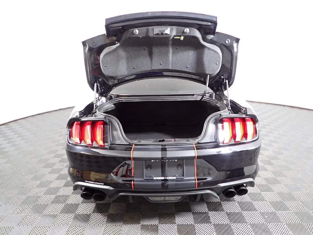 Ford Mustang photo 13