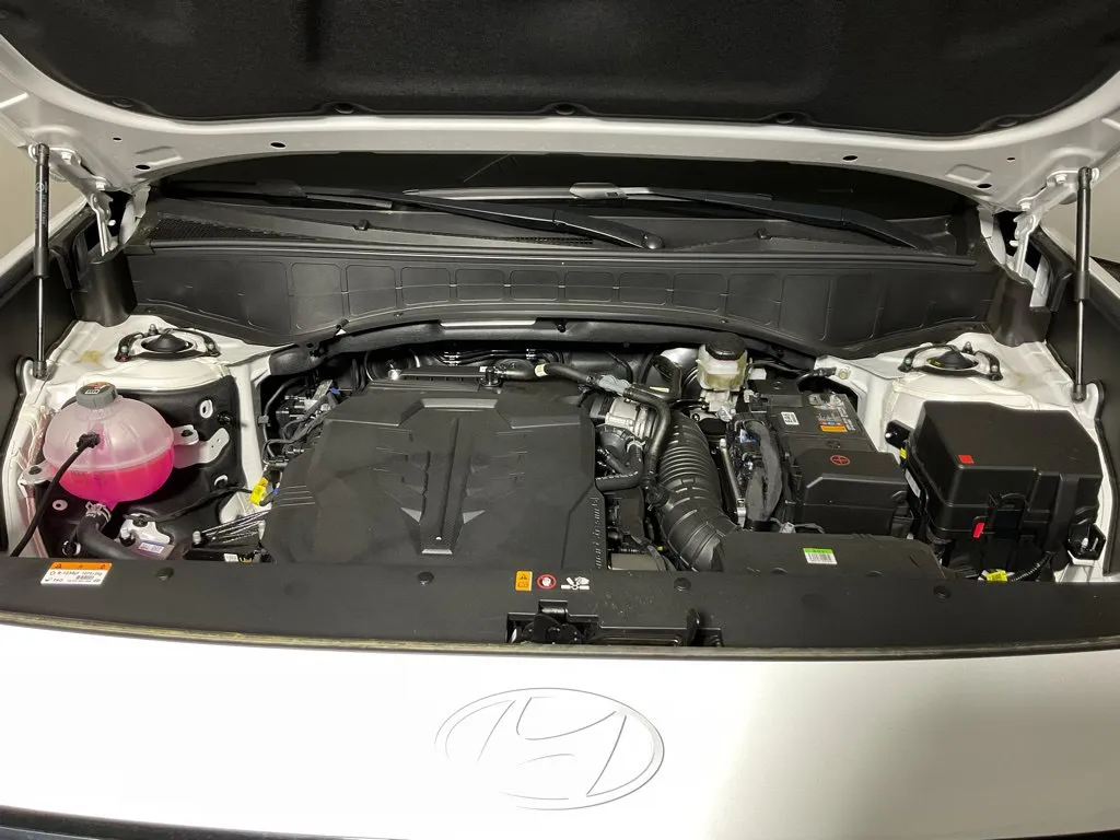 Hyundai Palisade photo 40