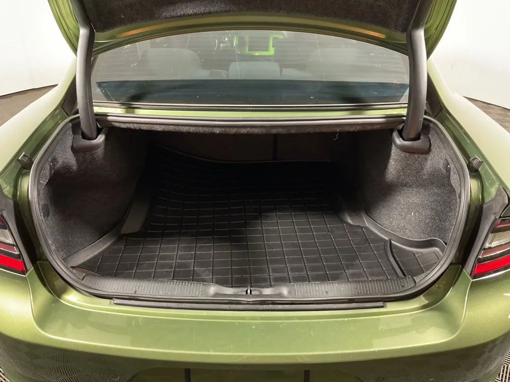 Dodge Charger photo 14