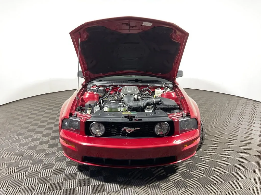 Ford Mustang photo 5
