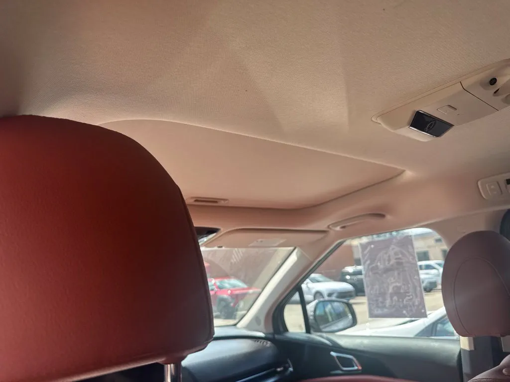 Kia Carnival photo 14