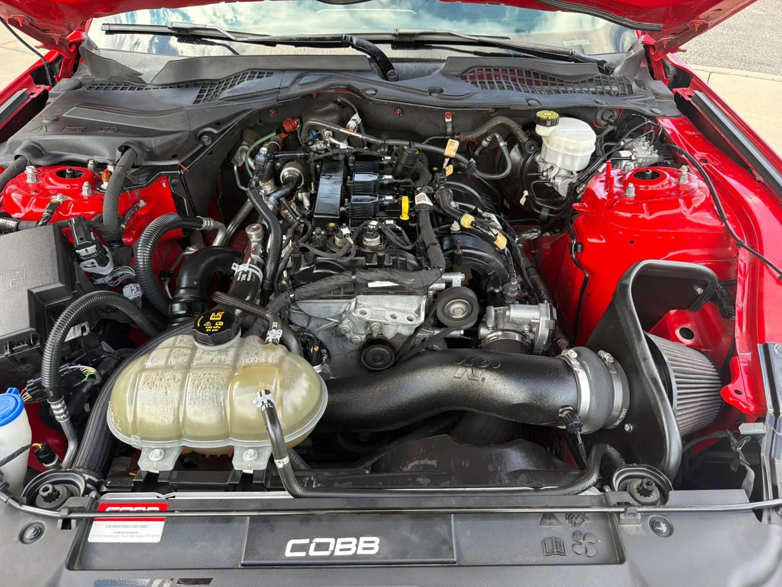 Ford Mustang photo 15