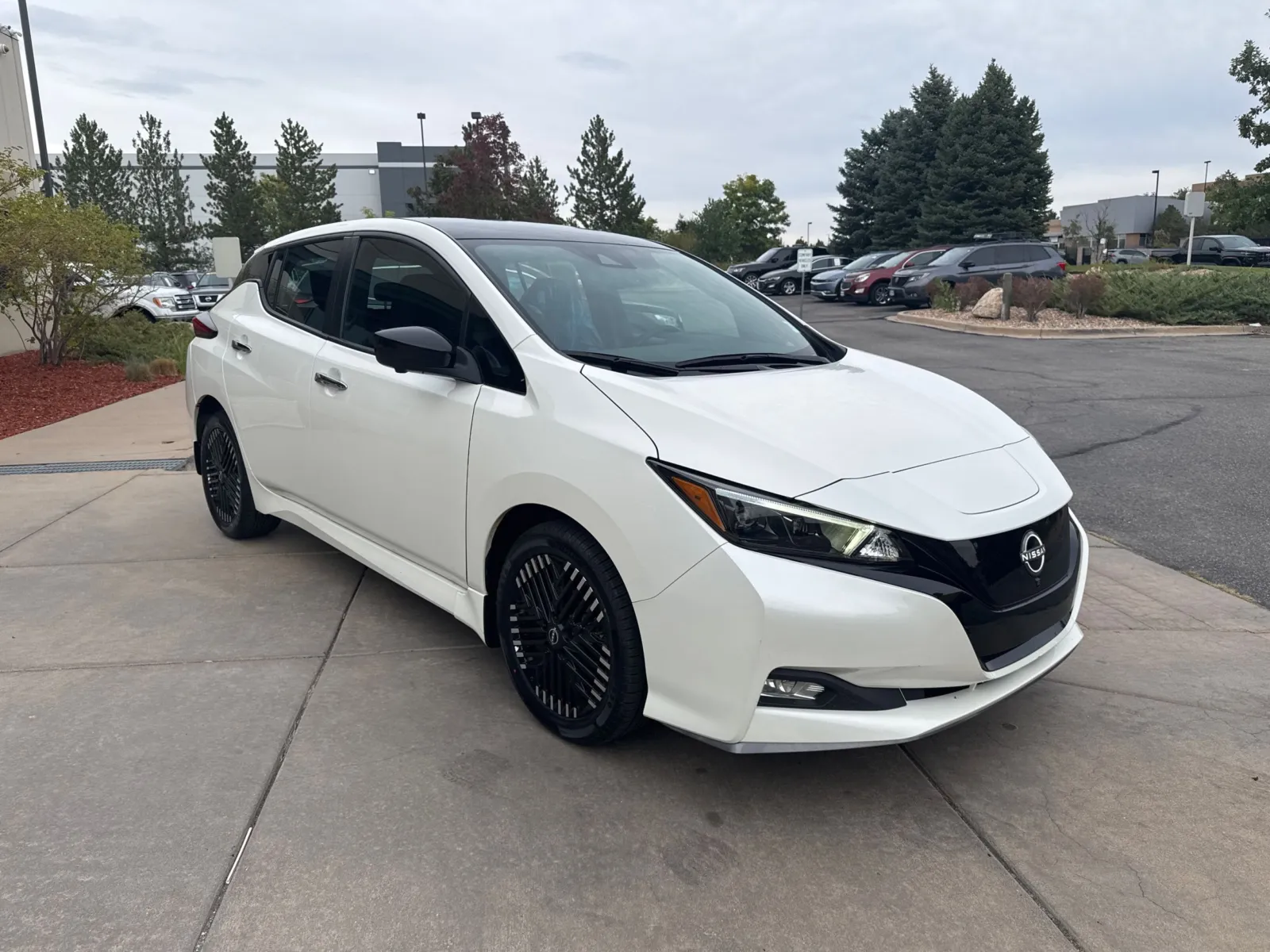 Nissan Leaf photo 4