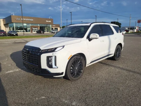 White 2024 Hyundai Palisade Calligraphy Night Edition for sale in Terre Haute, IN