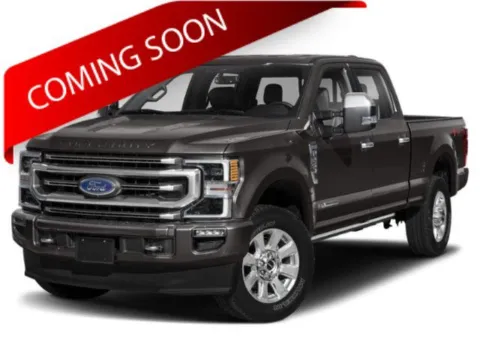 Gray 2020 Ford Super Duty F-250 SRW for sale in Columbus, OH
