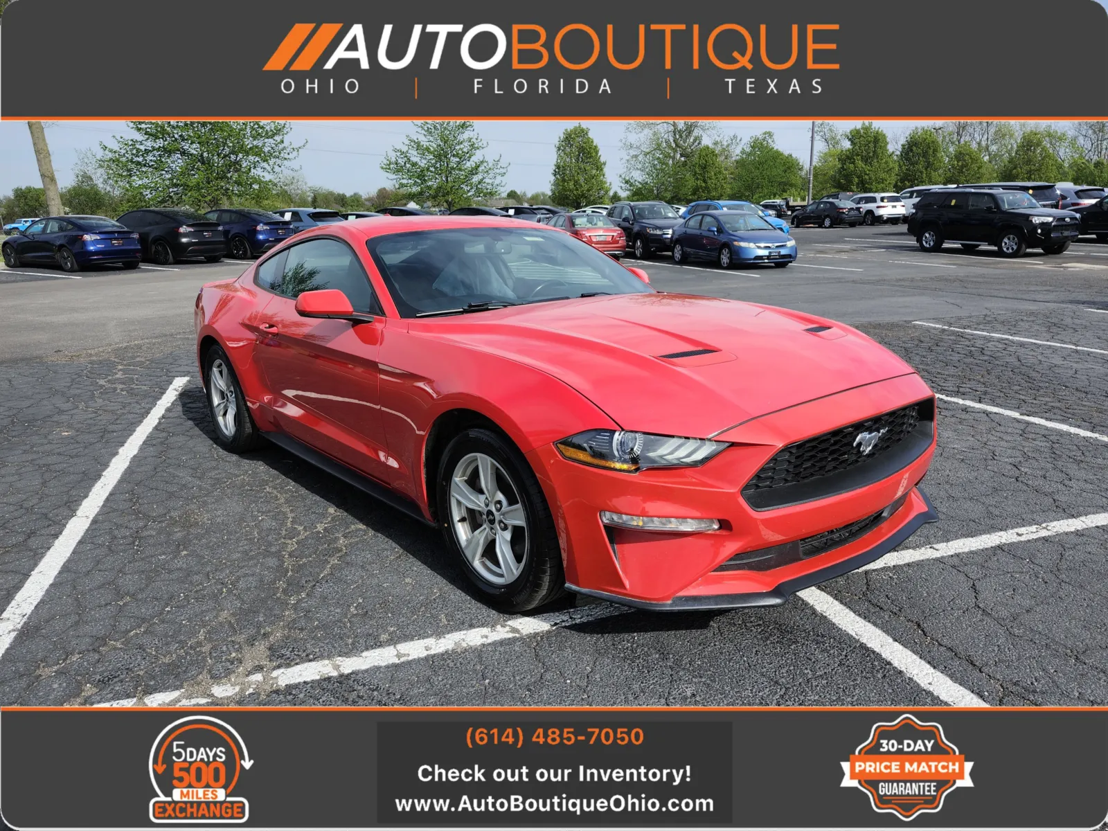 2020 Ford Mustang EcoBoost Coupe's photo