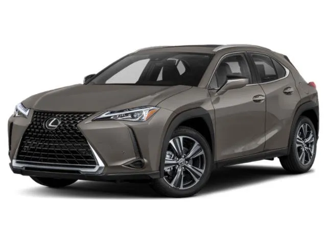 2019 Lexus UX 200 Luxury for sale in Columbus, OH