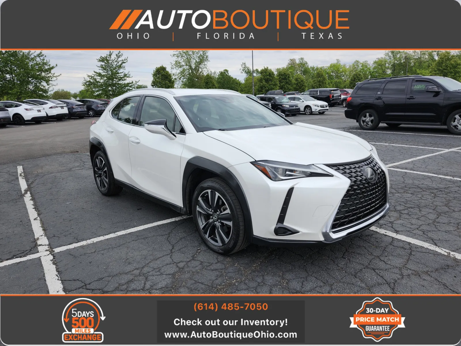 White 2019 Lexus UX 200 Luxury for sale in Columbus, OH