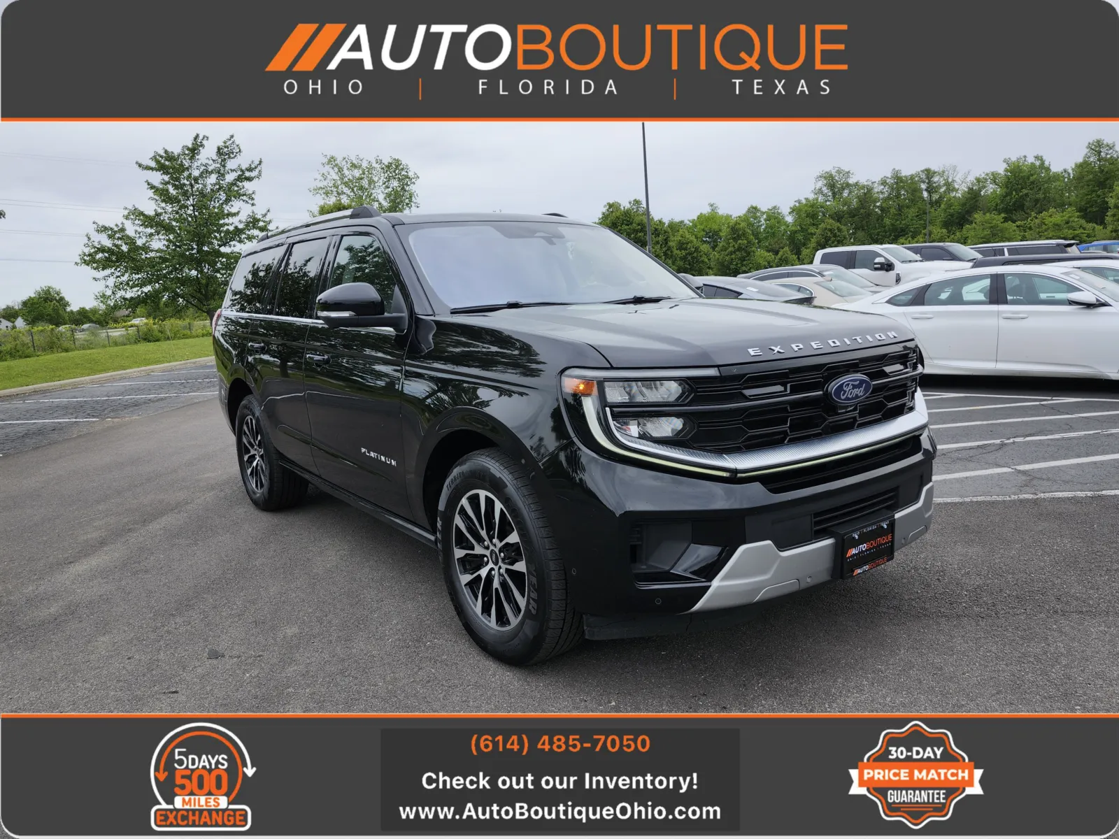 2025 Ford Expedition Platinum 4x4's photo
