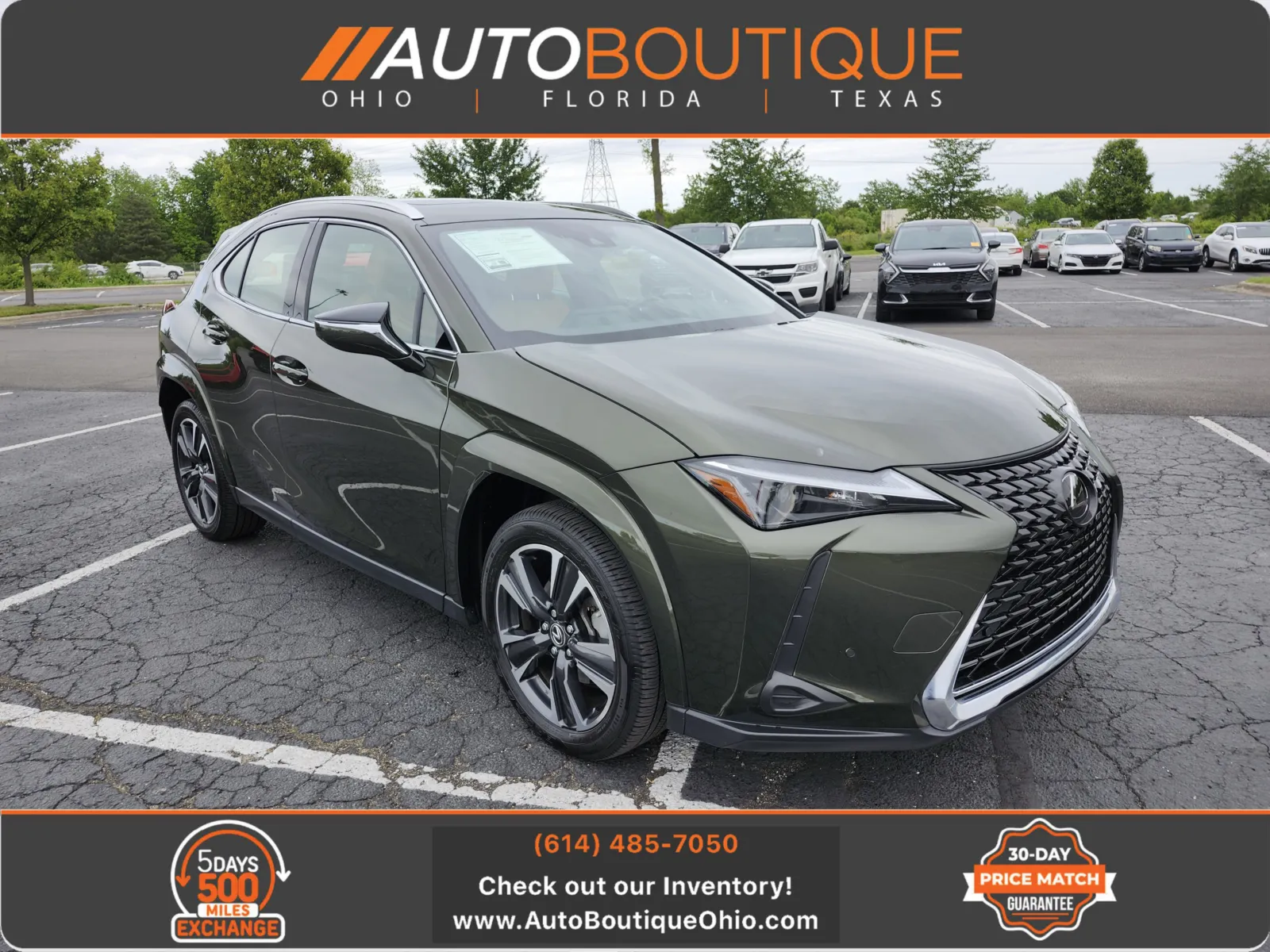2024 Lexus UX 300h 250h Premium AWD's photo