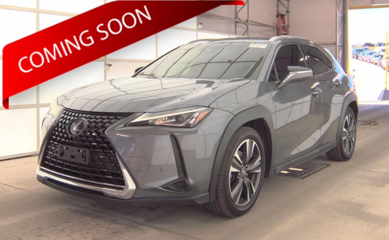 2019 Lexus UX 300h 250h AWD's photo