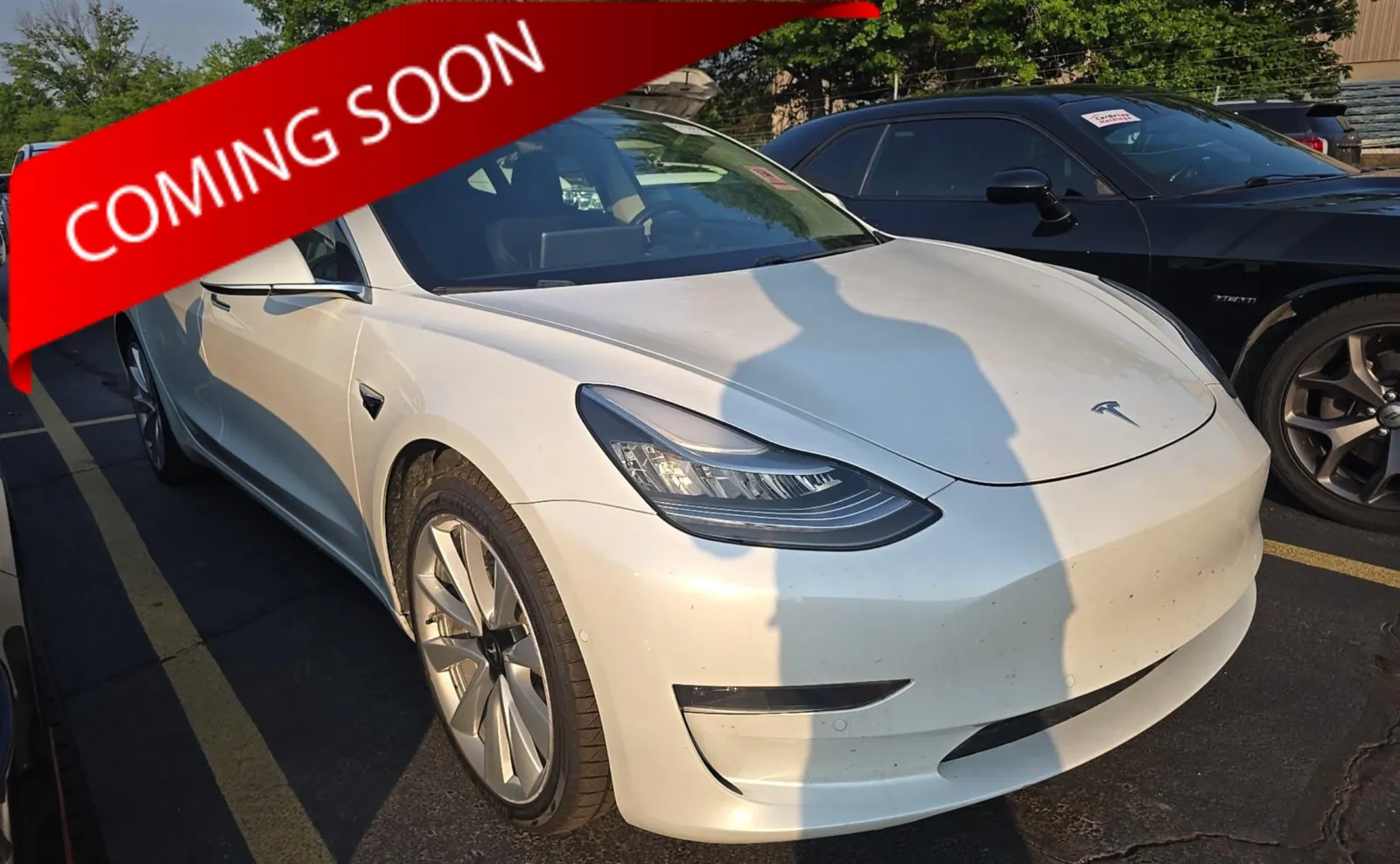 White 2020 Tesla Model 3 Standard Range Plus for sale in Columbus, OH