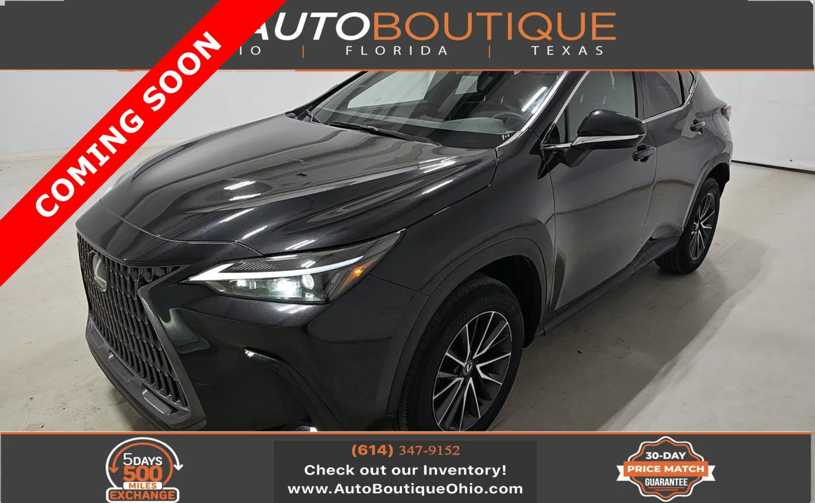 2024 Lexus NX 350 350 AWD's photo