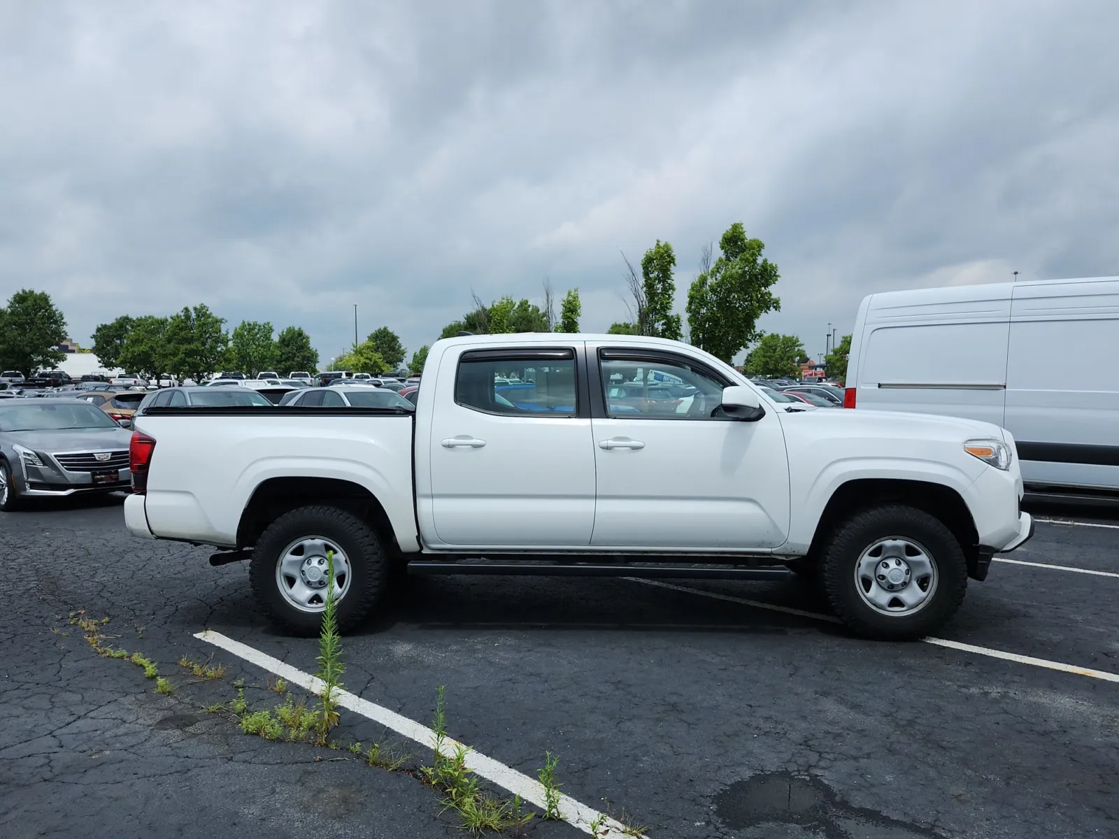 Toyota Tacoma photo 6