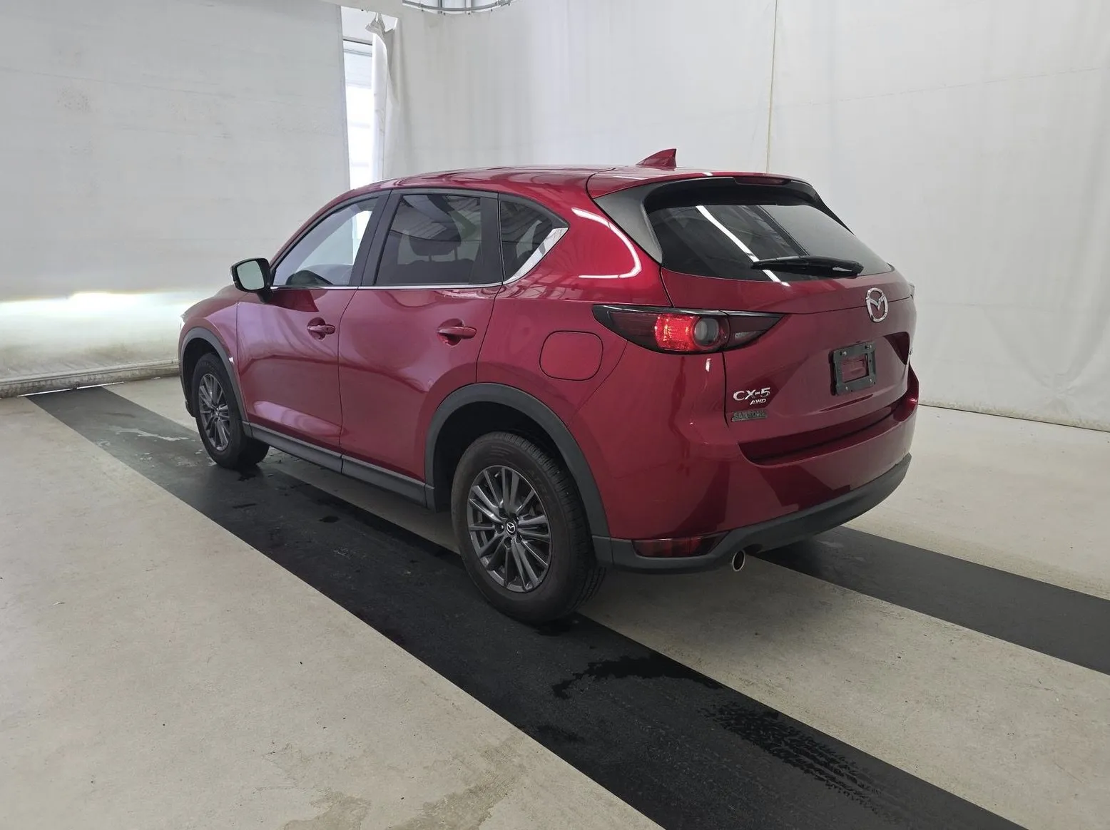 Photo 5