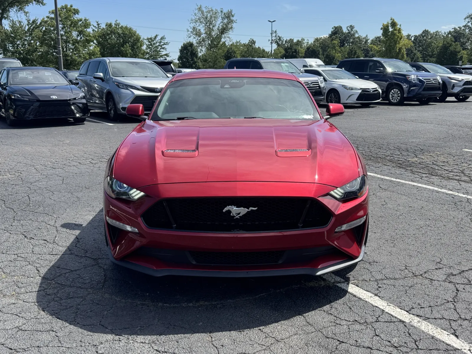 Ford Mustang photo 3