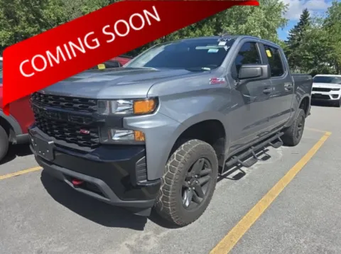 Gray 2020 Chevrolet Silverado 1500 Custom Trail Boss for sale in Columbus, OH