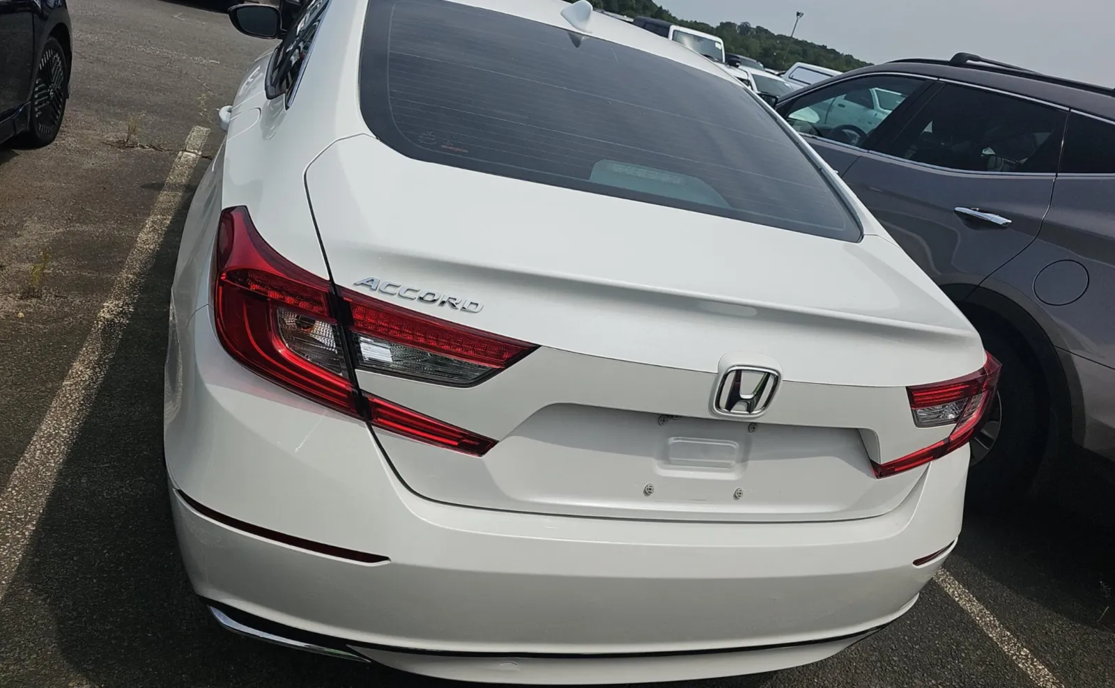 Honda Accord photo 5