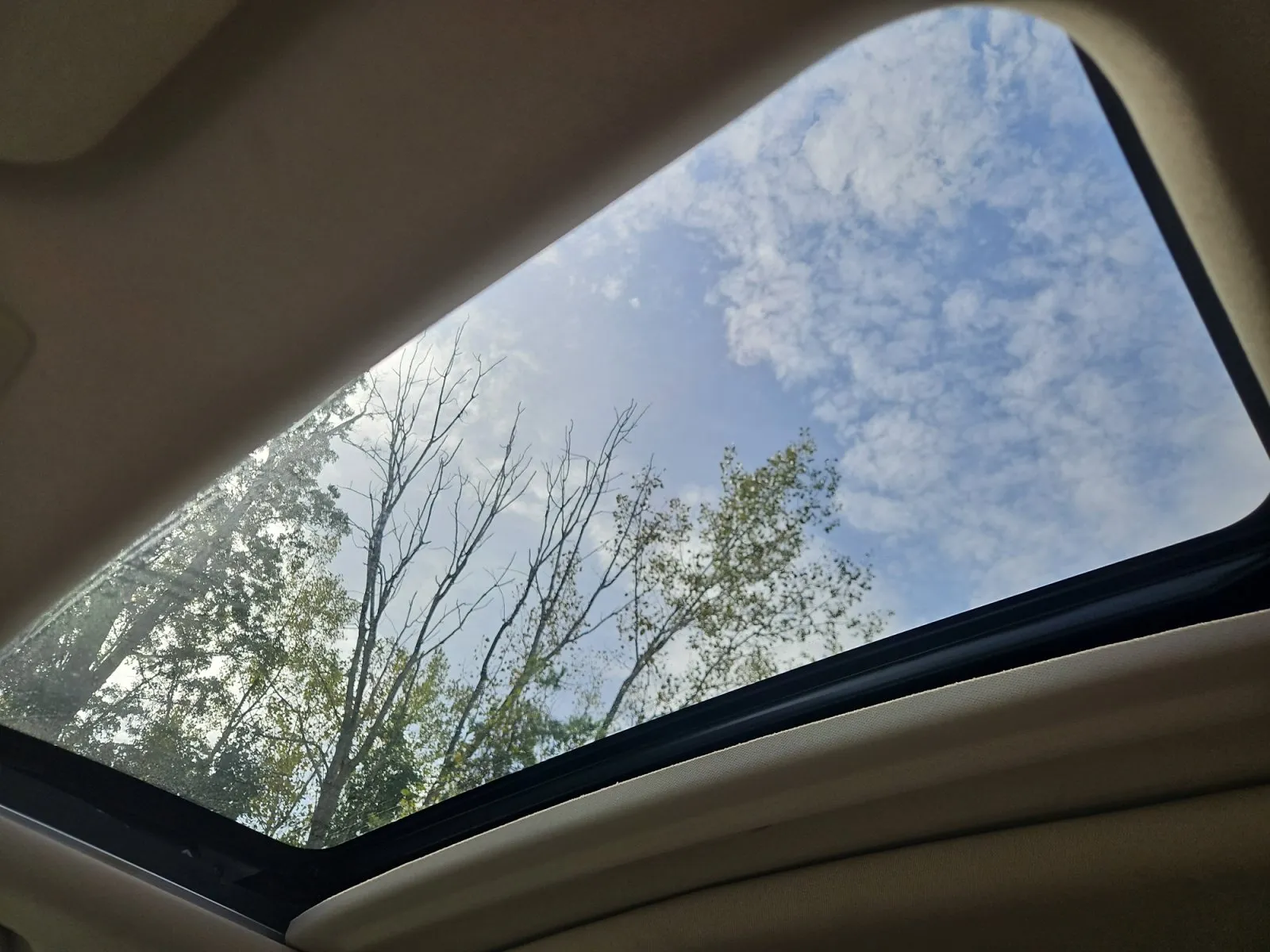 Honda CR-V photo 16