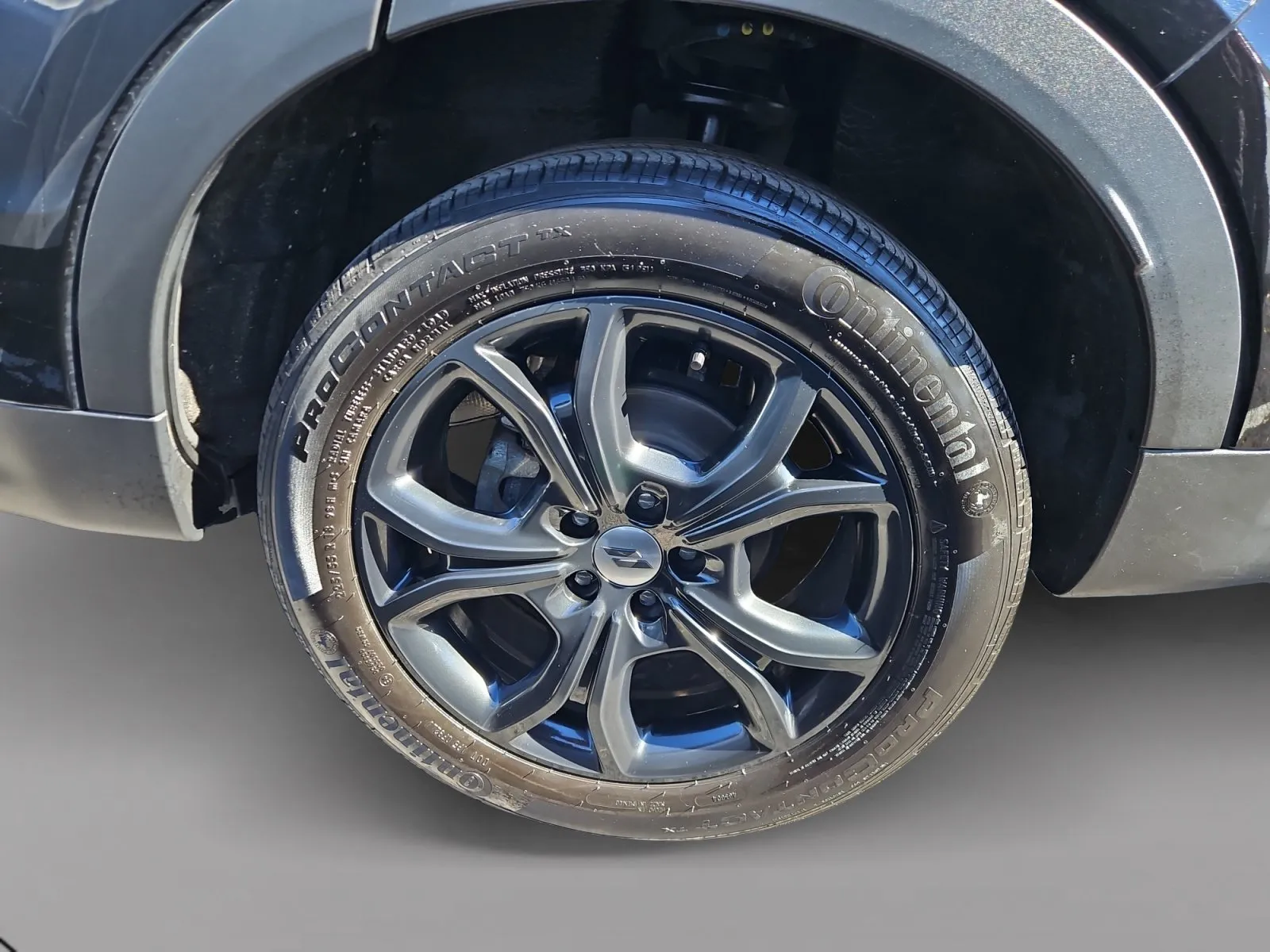 Dodge Hornet photo 15