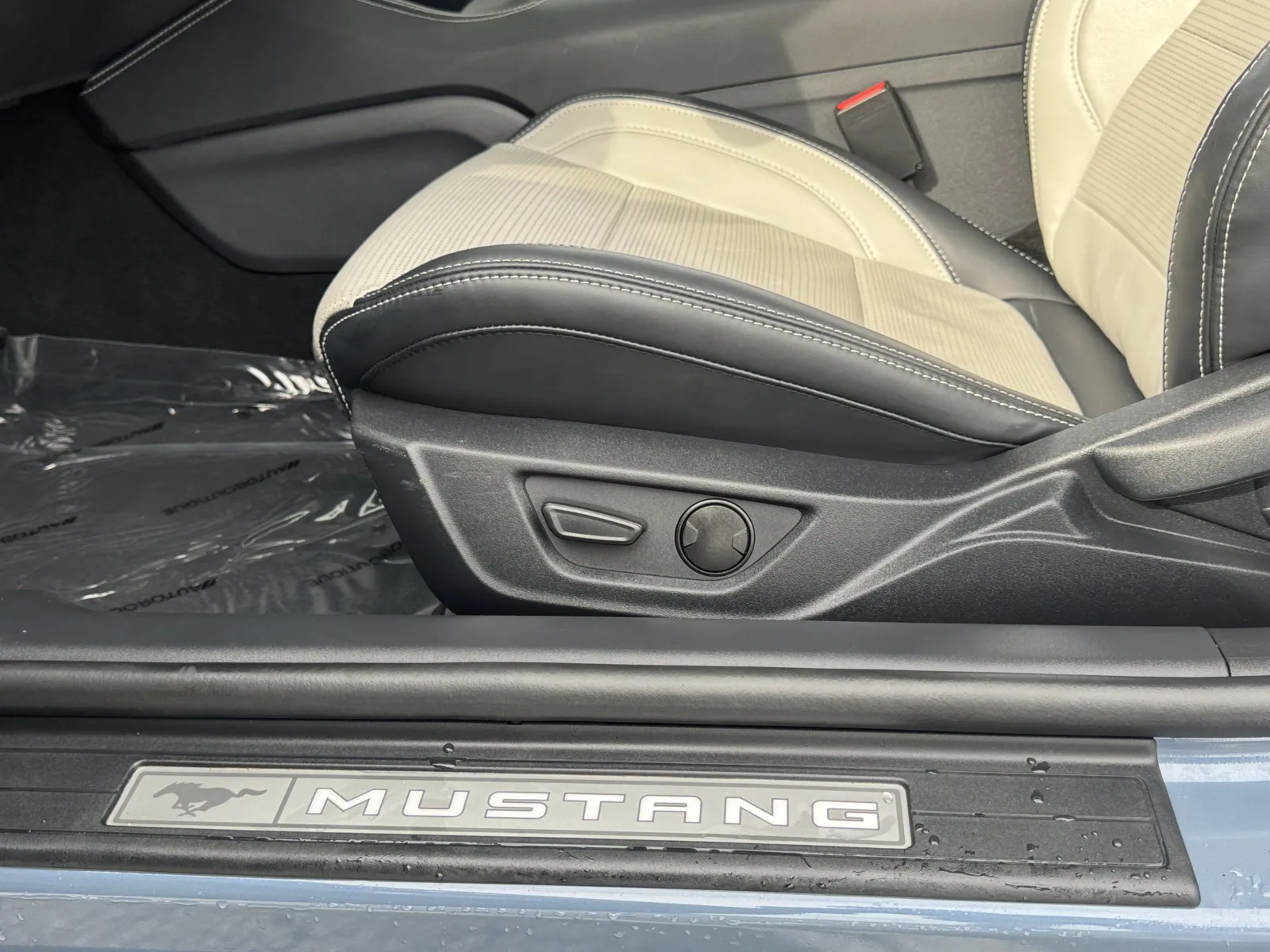 Ford Mustang photo 33