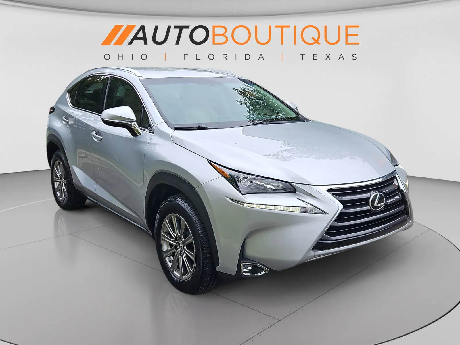 Lexus NX photo 8